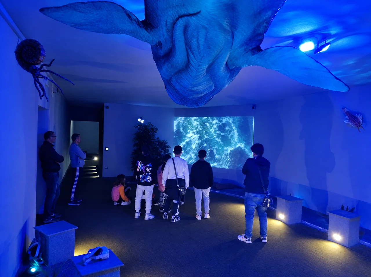 Visitatori nella sala immersiva del Micromondo dedicata alla storia della vita